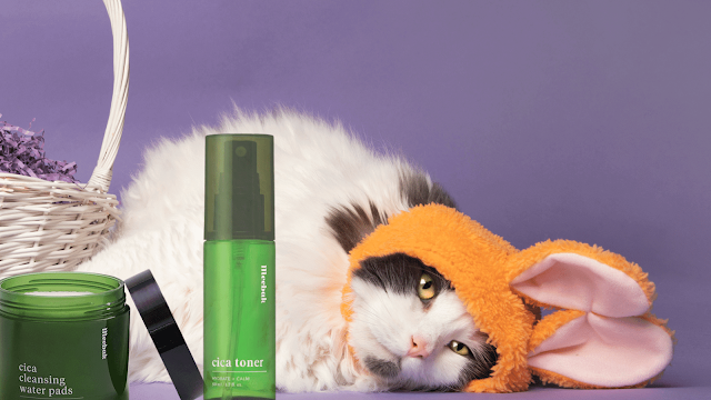 the best toner for your face, barbies beauty bits